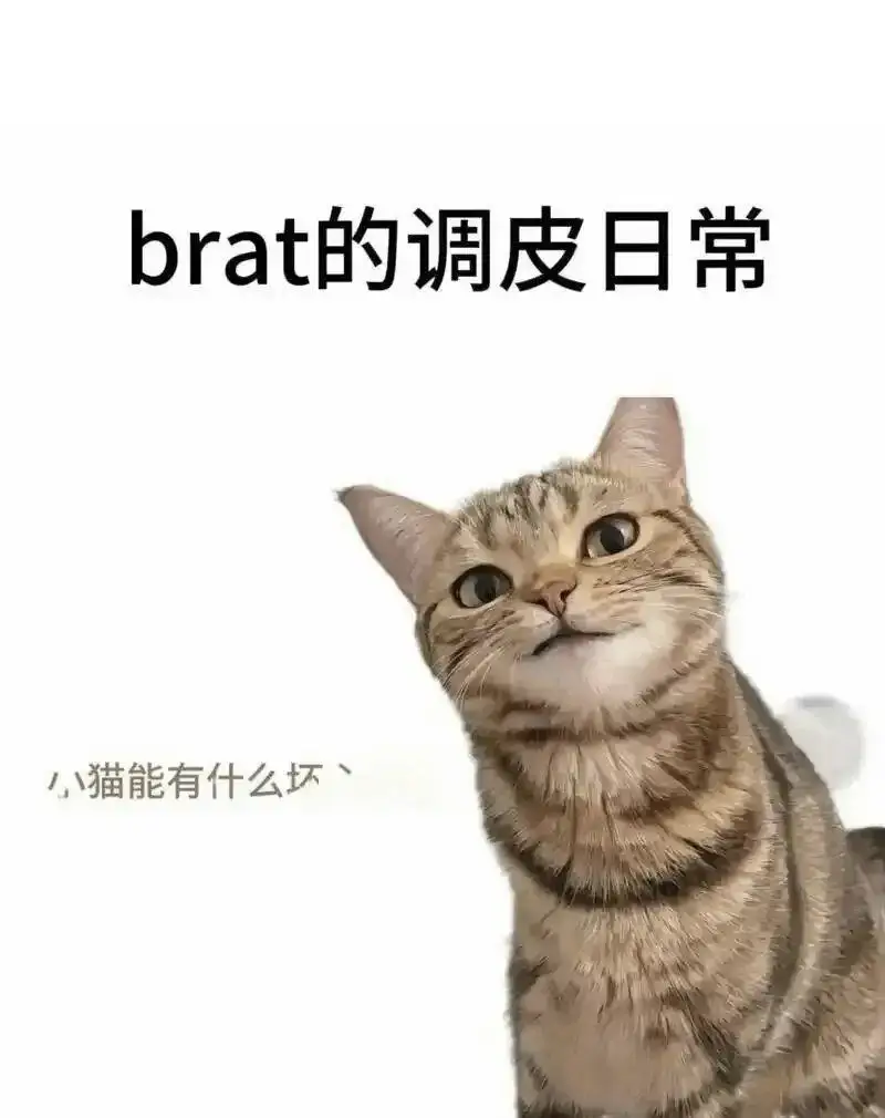 西檬之家-OTK是什么？字母圈新人如何理解跨膝互动