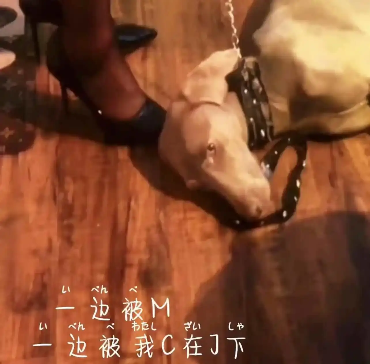 【西檬之家】字母圈的Aftercare实践指南：新手必知