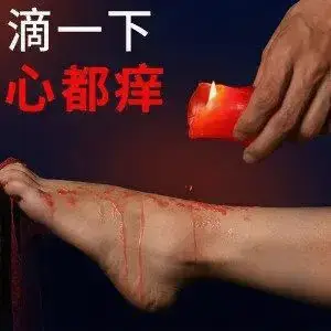 西檬之家-字母圈新手指南