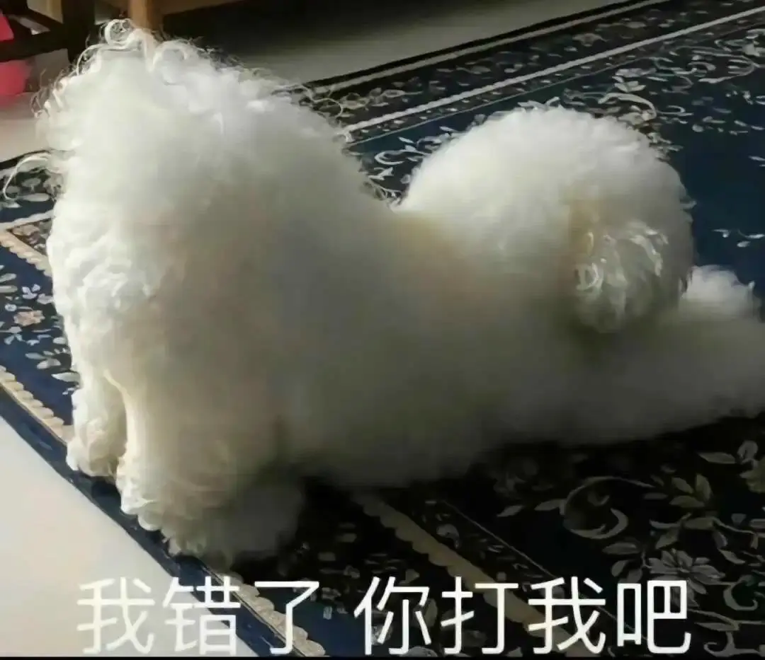 Sub是什么 - 2023_12_05_21_26_IMG_9543