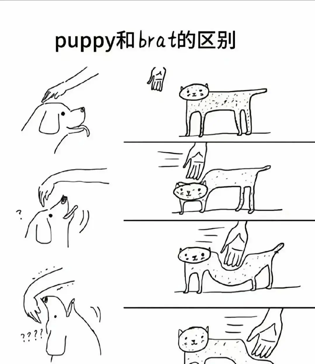 k8猫系 - 微信图片_2025-11-13_180940_765