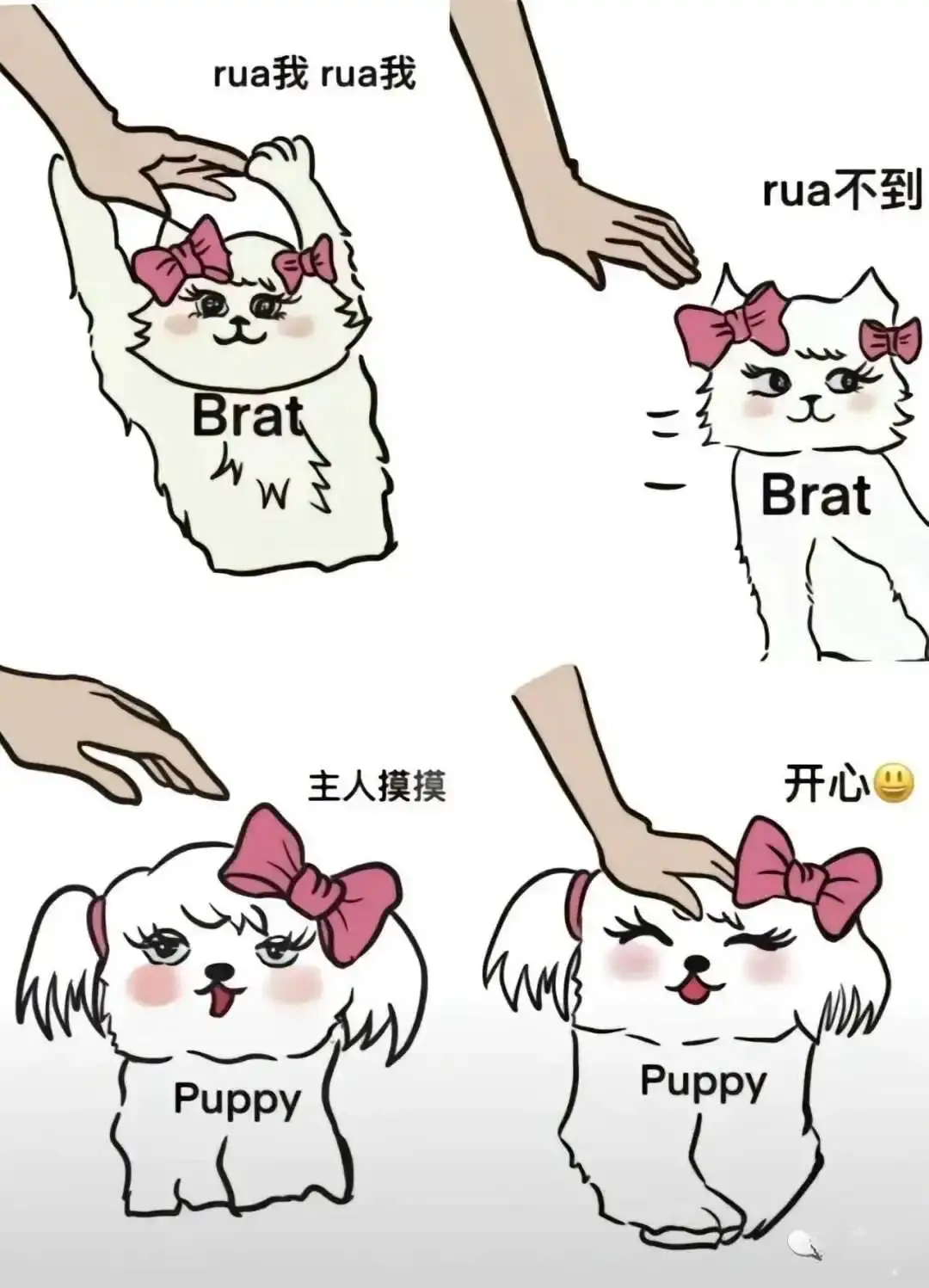 西檬之家-BDSM新人指南：核心术语全解析与入门指引。