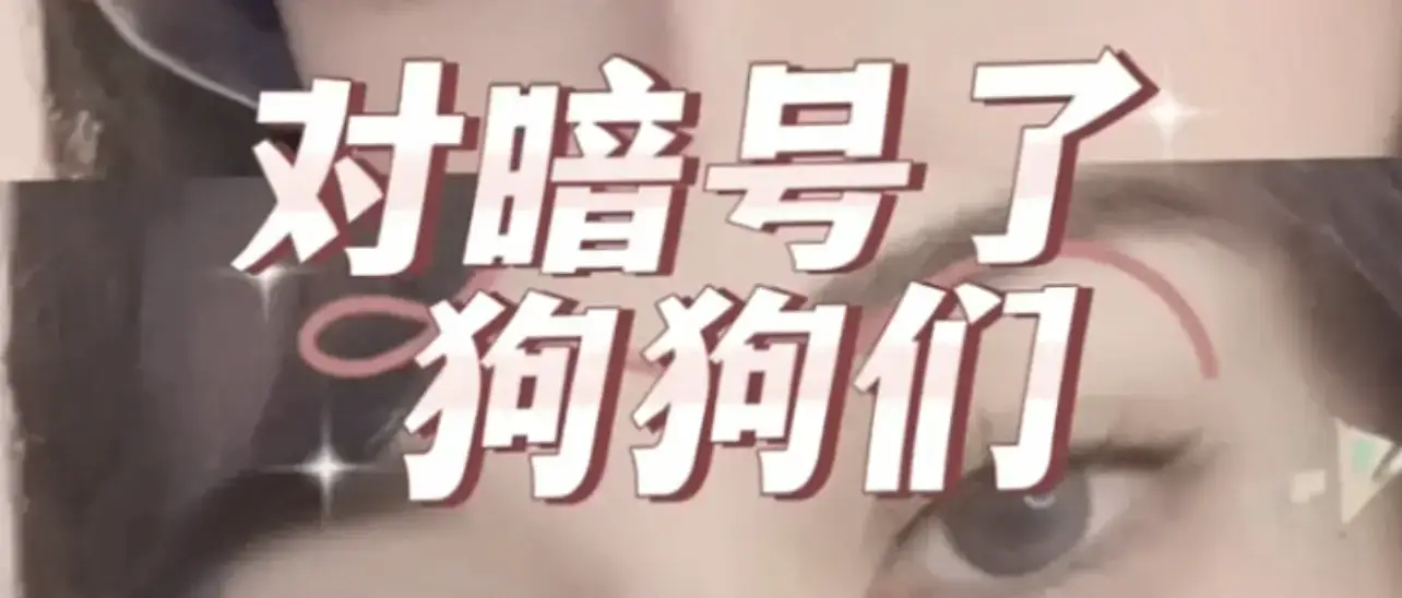 【西檬之家-BDSM新人指南：从零开始了解字母圈】