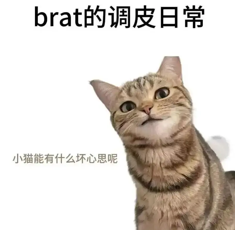 西檬之家-TK是什么？一文看懂字母圈中的挠痒痒互动