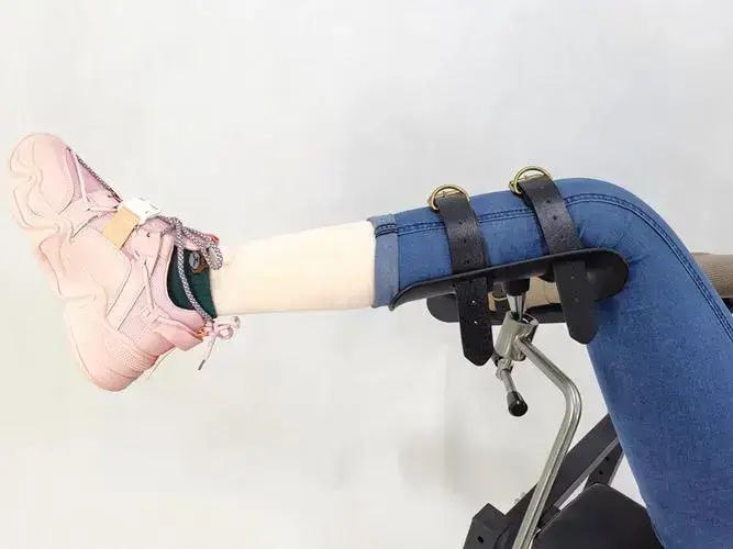 M倾向 - 11669