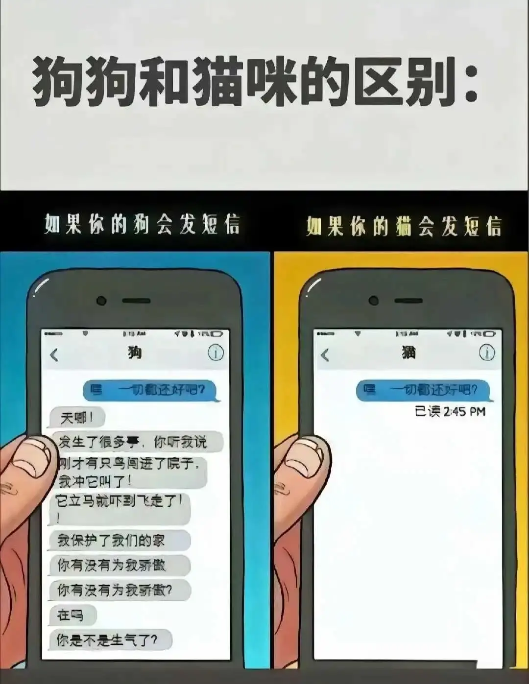 s属性 - 微信图片_20250713011414